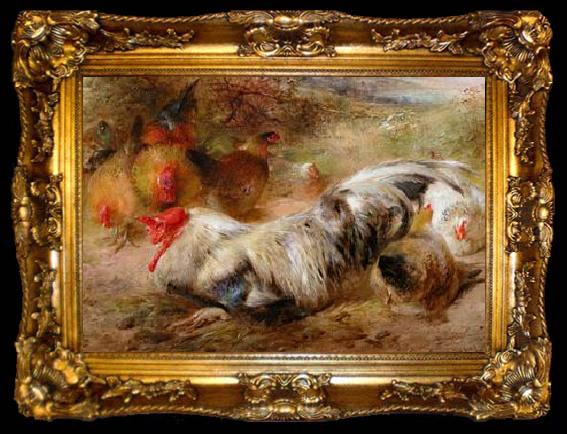 framed  unknow artist Poultry 115, ta009-2